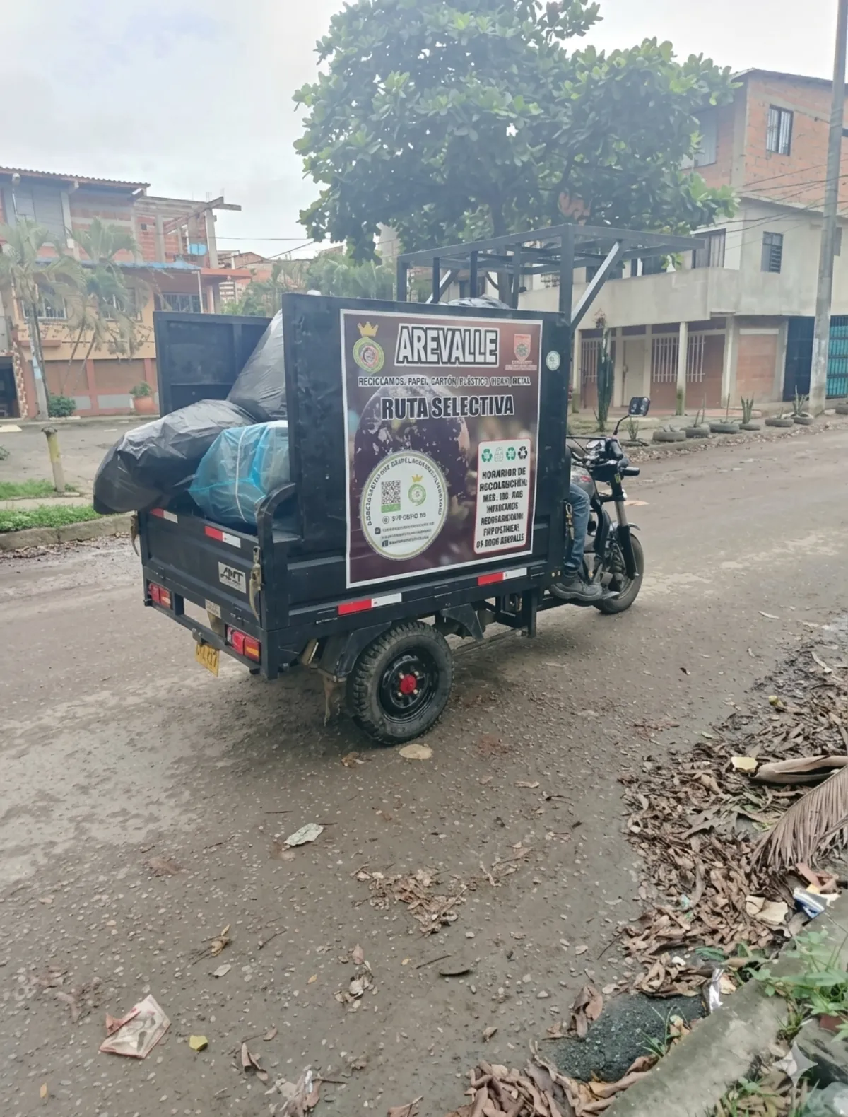 Trabajo comunitario AREVALLE